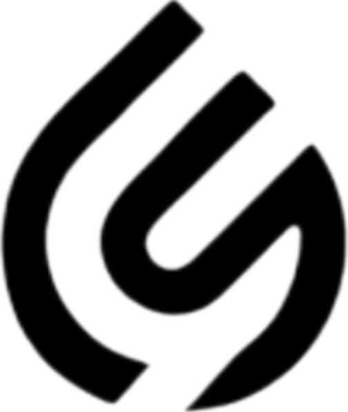 Light and Skills logo
